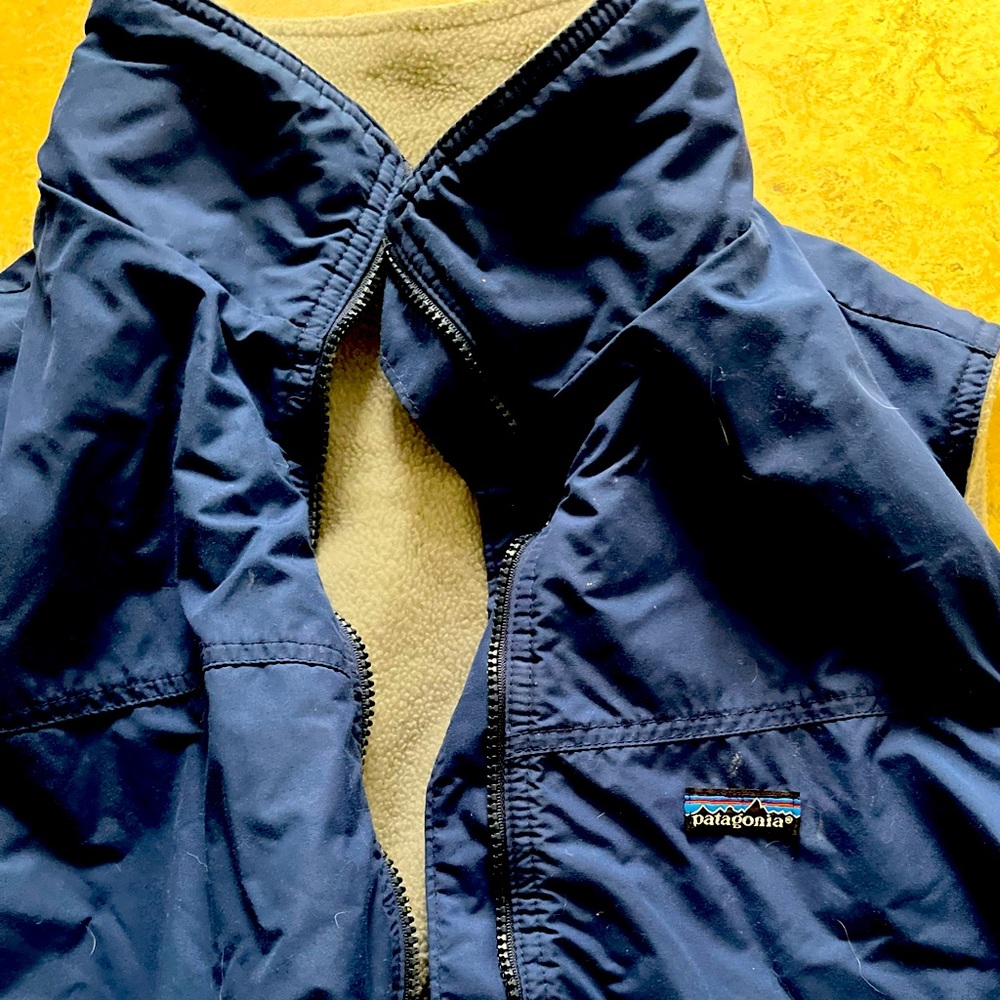 Patagonia classic vest